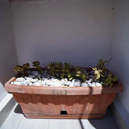Apartman Casa Delle Rondini Catania